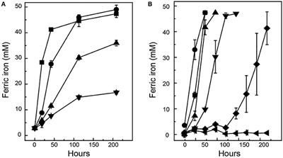 Multiple Osmotic Stress Responses in Acidihalobacter prosperus Result in Tolerance to Chloride Ions